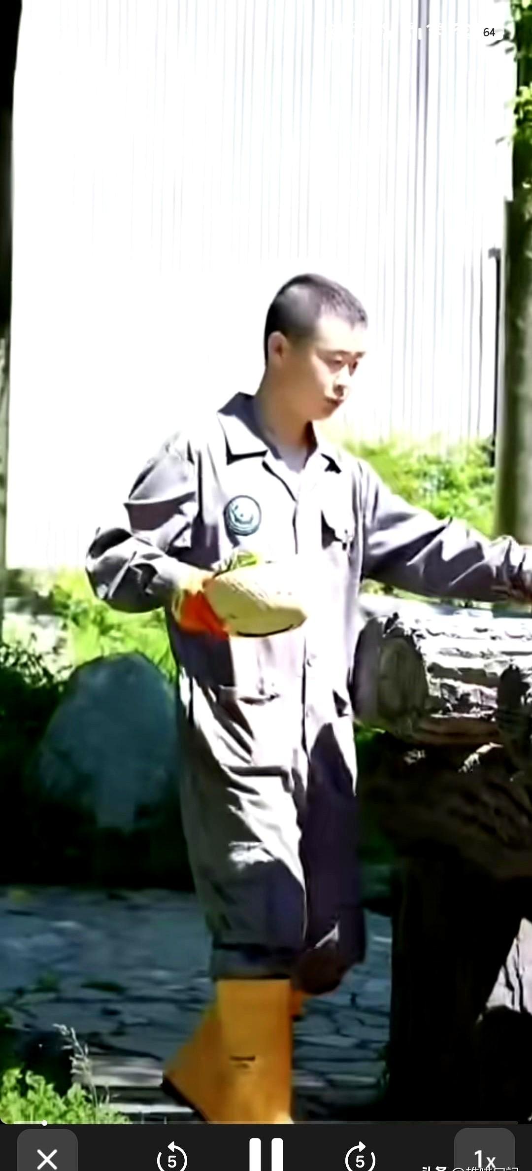 笑不活了！熊猫“小奇迹”被怀庭奶爸准备的粽子惊出表情包啦。
怀庭奶爸特地准备的端