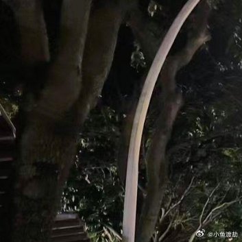 学会哄自己开心是种能力小时候，我们总指望别人来哄自己。长大后才发现，能把自己哄开