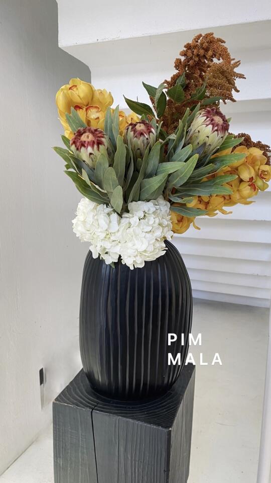 PIMMALA｜单纯的热爱
