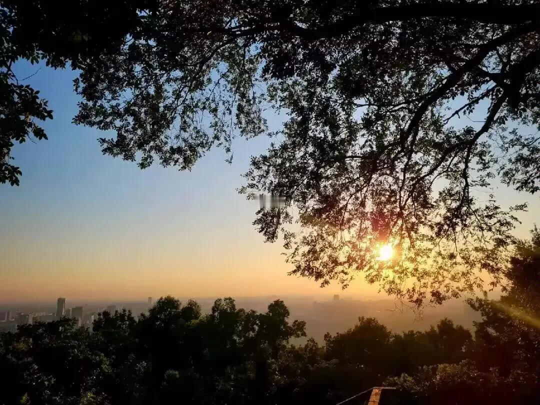 《秋的渡口》


季节的一抹蓝，悄悄地
潜入，梦的边缘
记忆，在月光下蒸腾

被