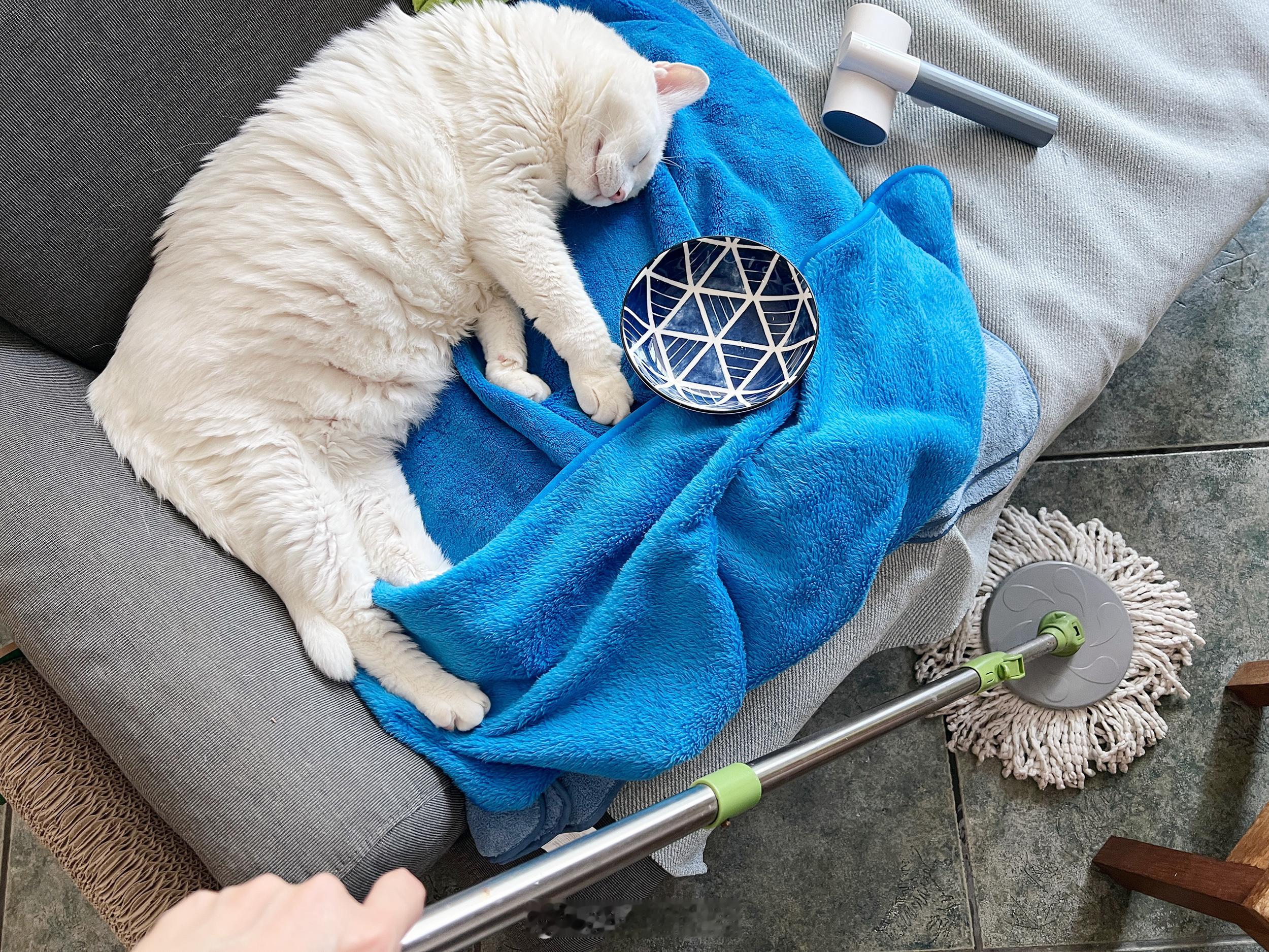 吃完凍乾就睡了～提前過年、提前廢的模式 ​​​