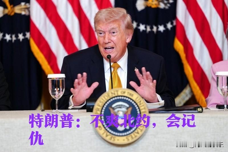 特朗普：不爽北约，会记仇

   据外媒报道美国总统特朗普26日接受美国福克斯新