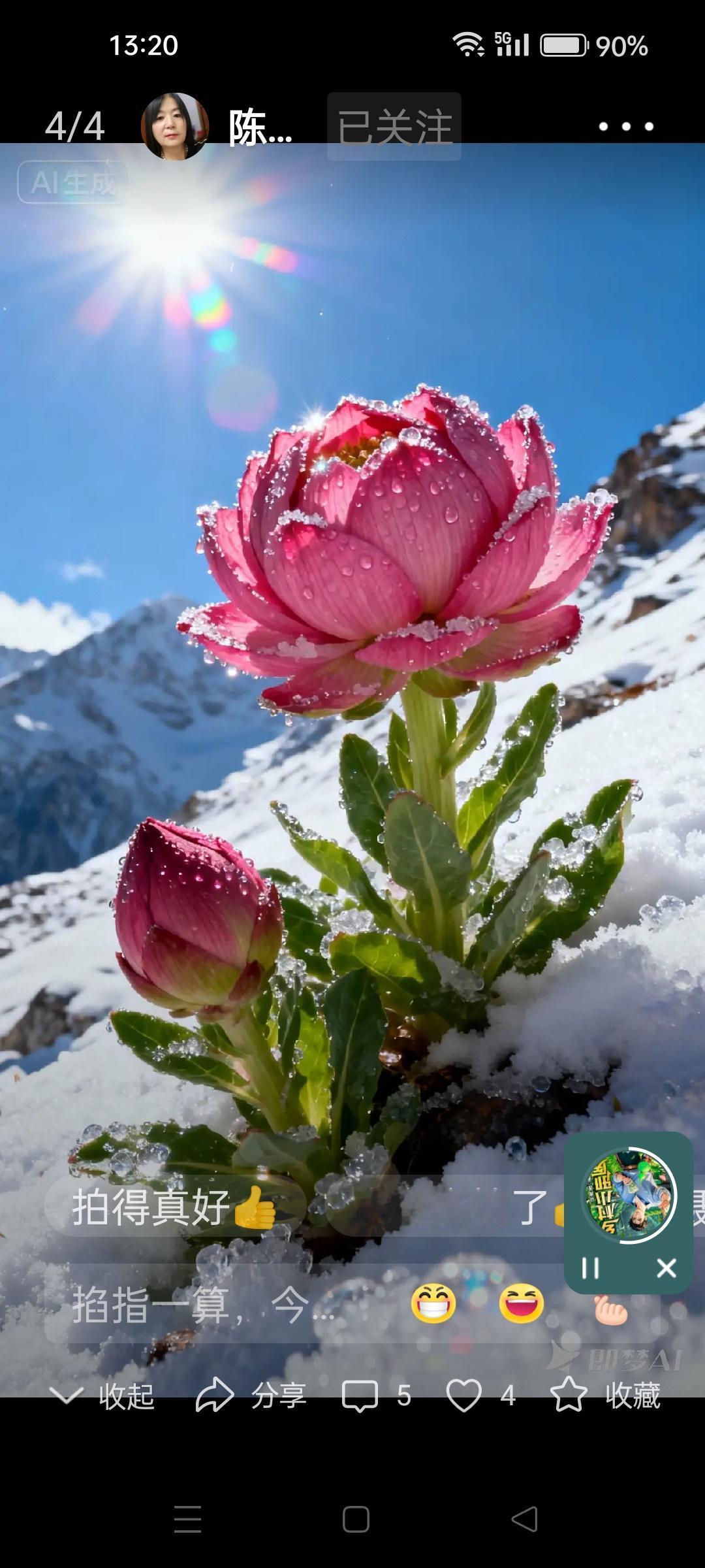 冬日暖章：健康与感恩的交响

冬日的风，像个热情的信使，捎来打卡慢生活的邀约。瞧