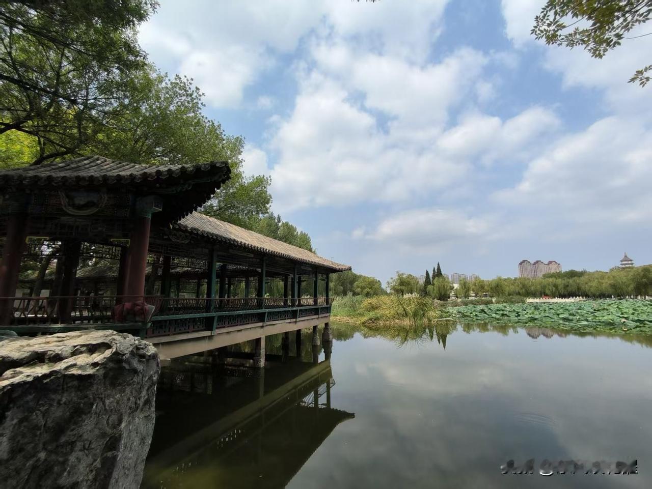 游览北宁公园
北宁公园，在每个天津人心里，都有着美好的记忆！
这次从老门进入公园