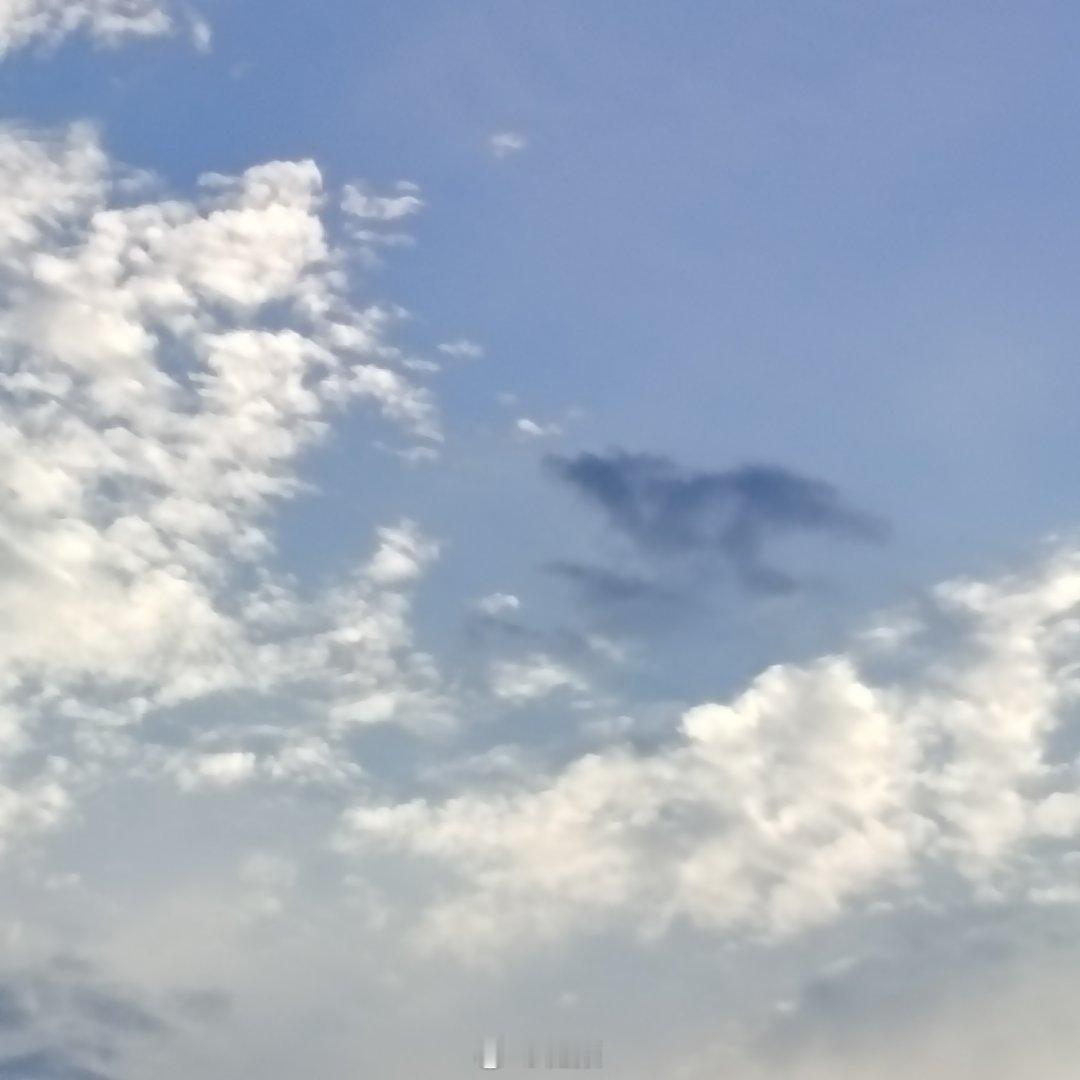 秋已立而夏未央～ 