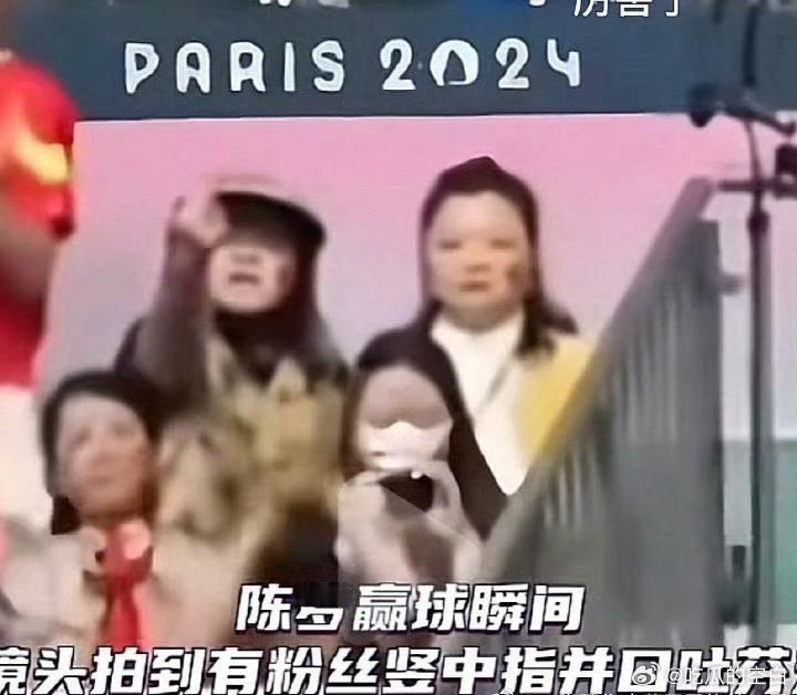 不是还有一个竖中指的，回国了没有？一并抓了吧～#乒乓女单赛后网民发诋毁信息被刑拘