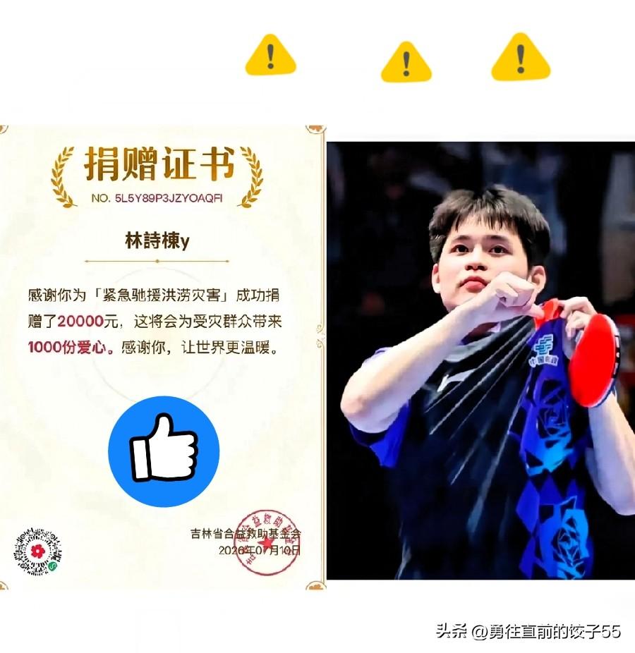 看着林诗栋那两万块的捐款，再对比动辄几百万的数字，心里真不是滋味。

很多人觉得
