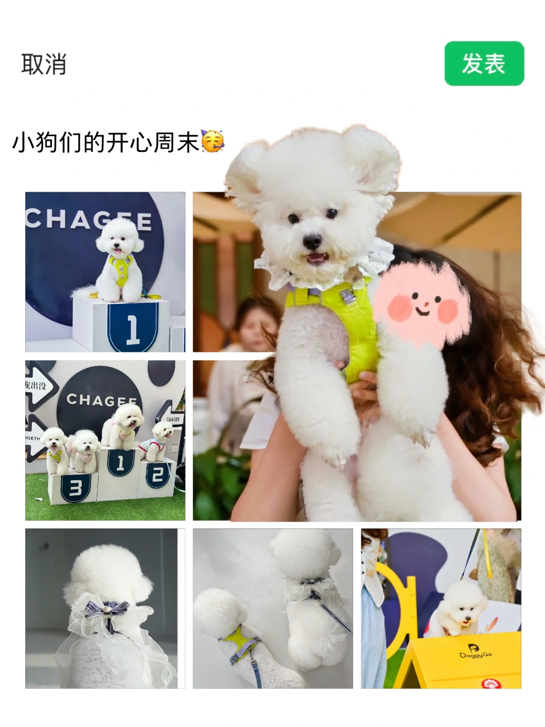 哈基米的周末也太有意思了