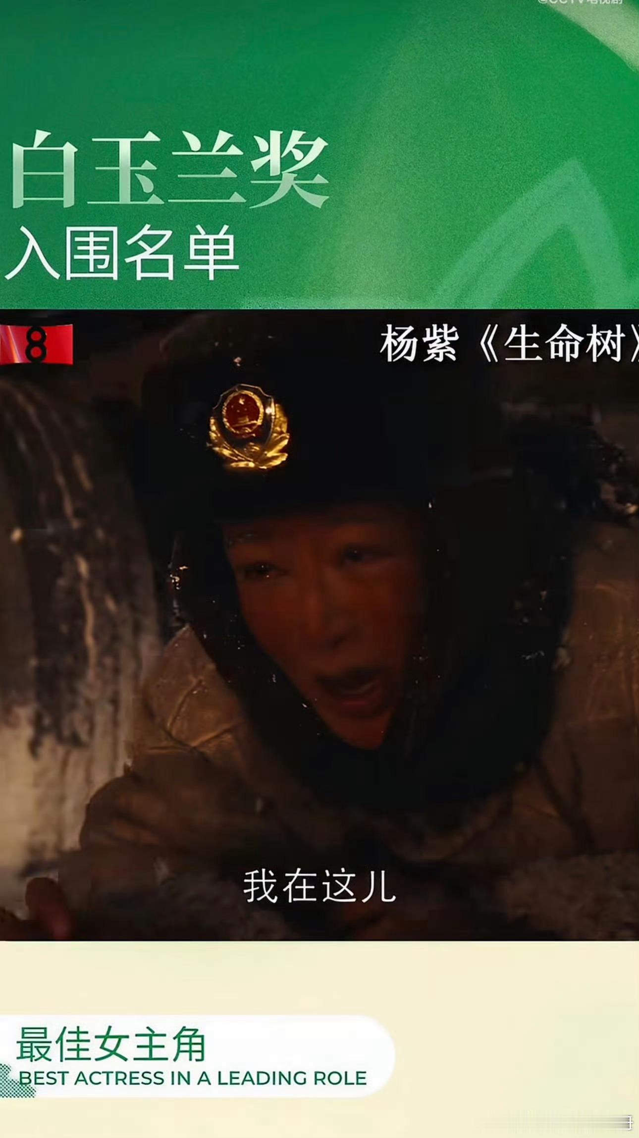 🍉有澄清说杨紫贴片不是白玉兰官方发的是CCTV发的，和主办方没关系，你怎么看？