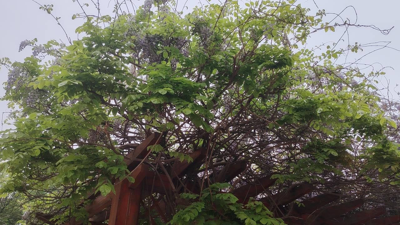 流水不争先，争的是滔滔不绝。

两棵树苗种在院子里，一棵拼命长高，几年后就枯萎了