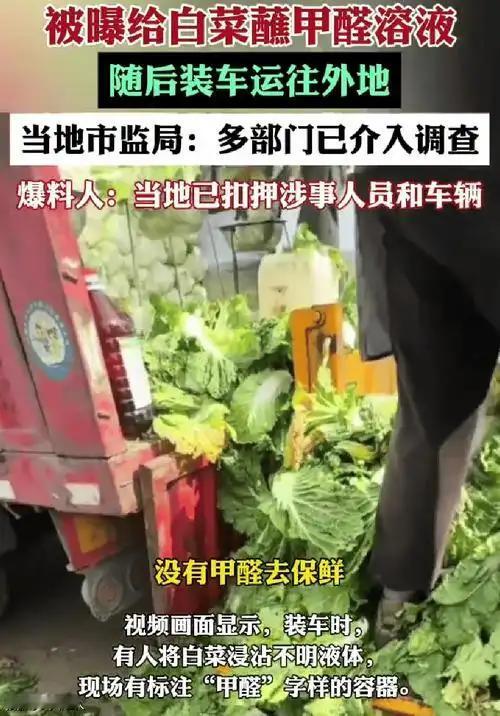 我只能以四个字形容：丧尽天良。问题是为什么会出现这个现象？如何拒绝这个现象？我等
