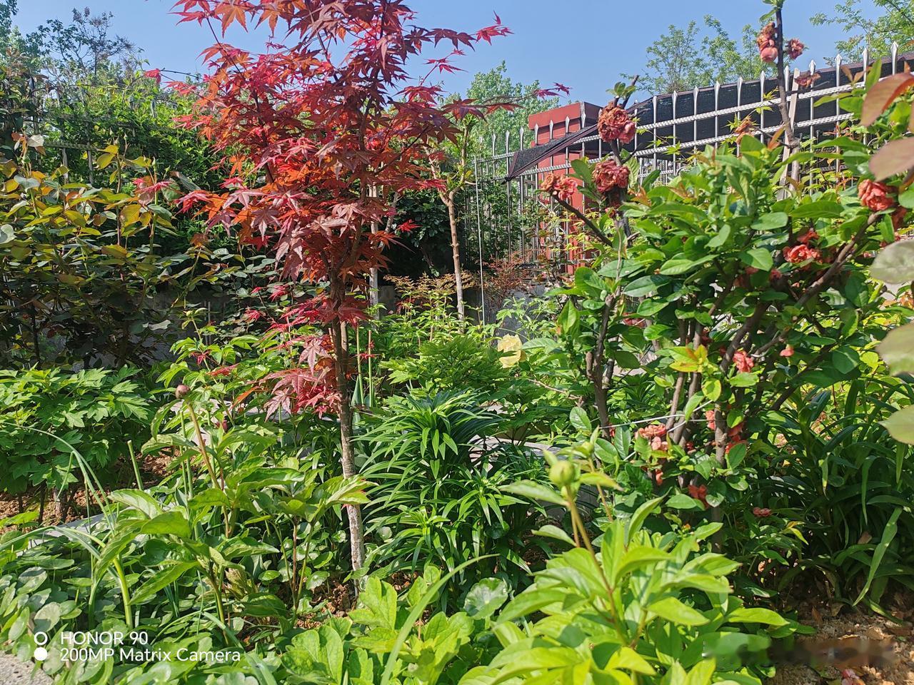 美国没料到，德法俄三国也没料到，我国石油如今已悄然处于领先地位！
我做国际资讯多