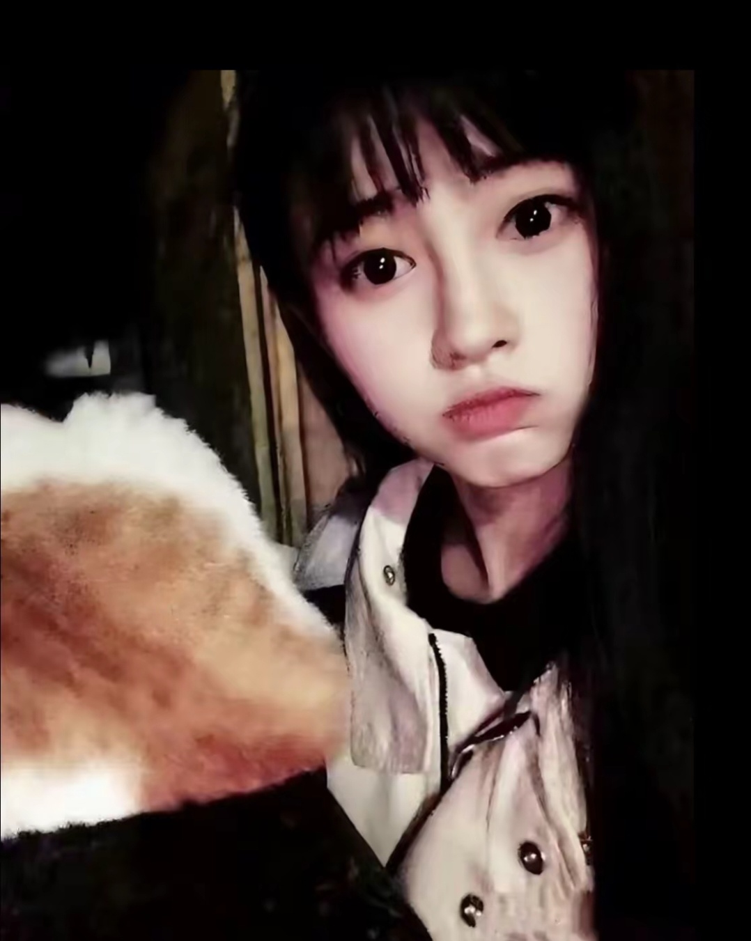 鞠婧祎苏绿夏 🍊鞠婧祎阿黛我向菩薩保佑遂寧的一個雙子座的女孩能平安喜樂​​​