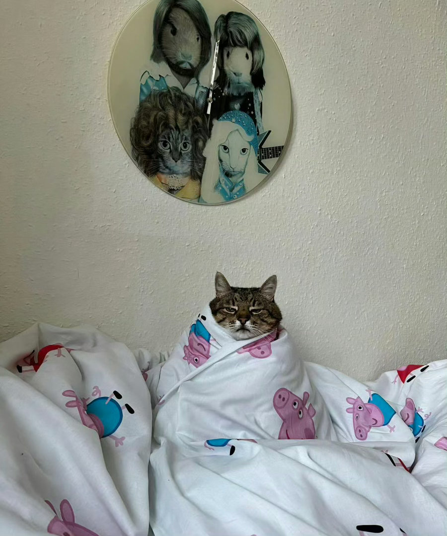 富贵：你的闹钟永远叫不醒自己😾 ​​​