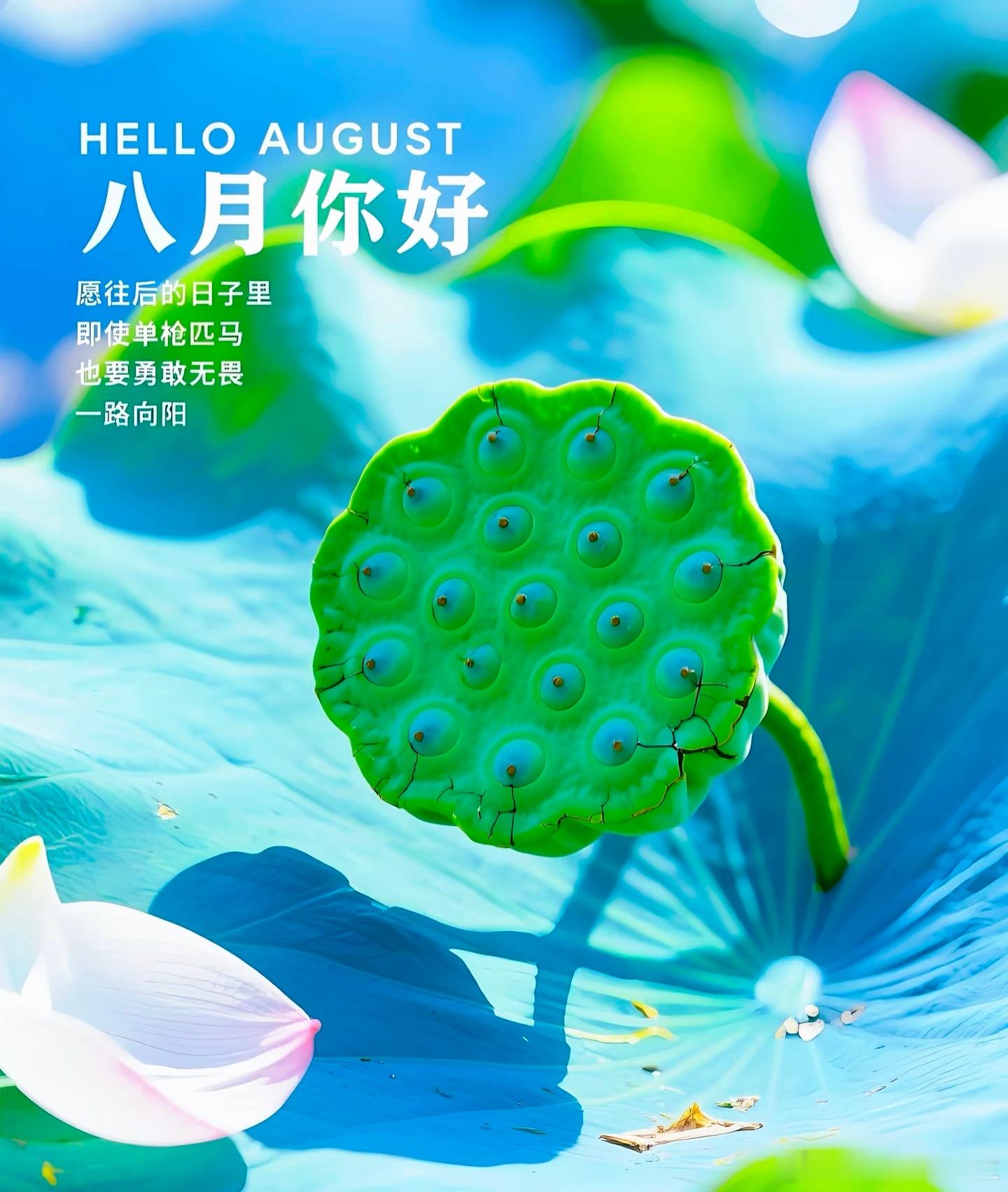 驴友 八月的第一天许个愿望许驴友超话顺顺顺发发发（多发帖）许你，许我，许我们诸事