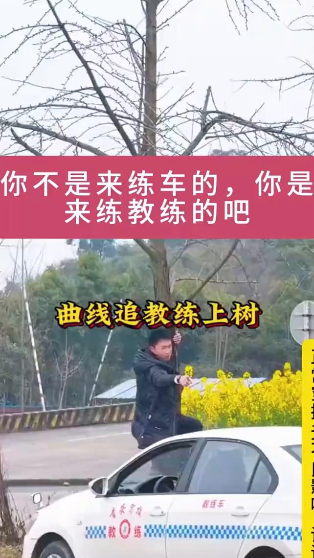 你不是来练车的，你是来练教练的吧？曲线追教练上树。