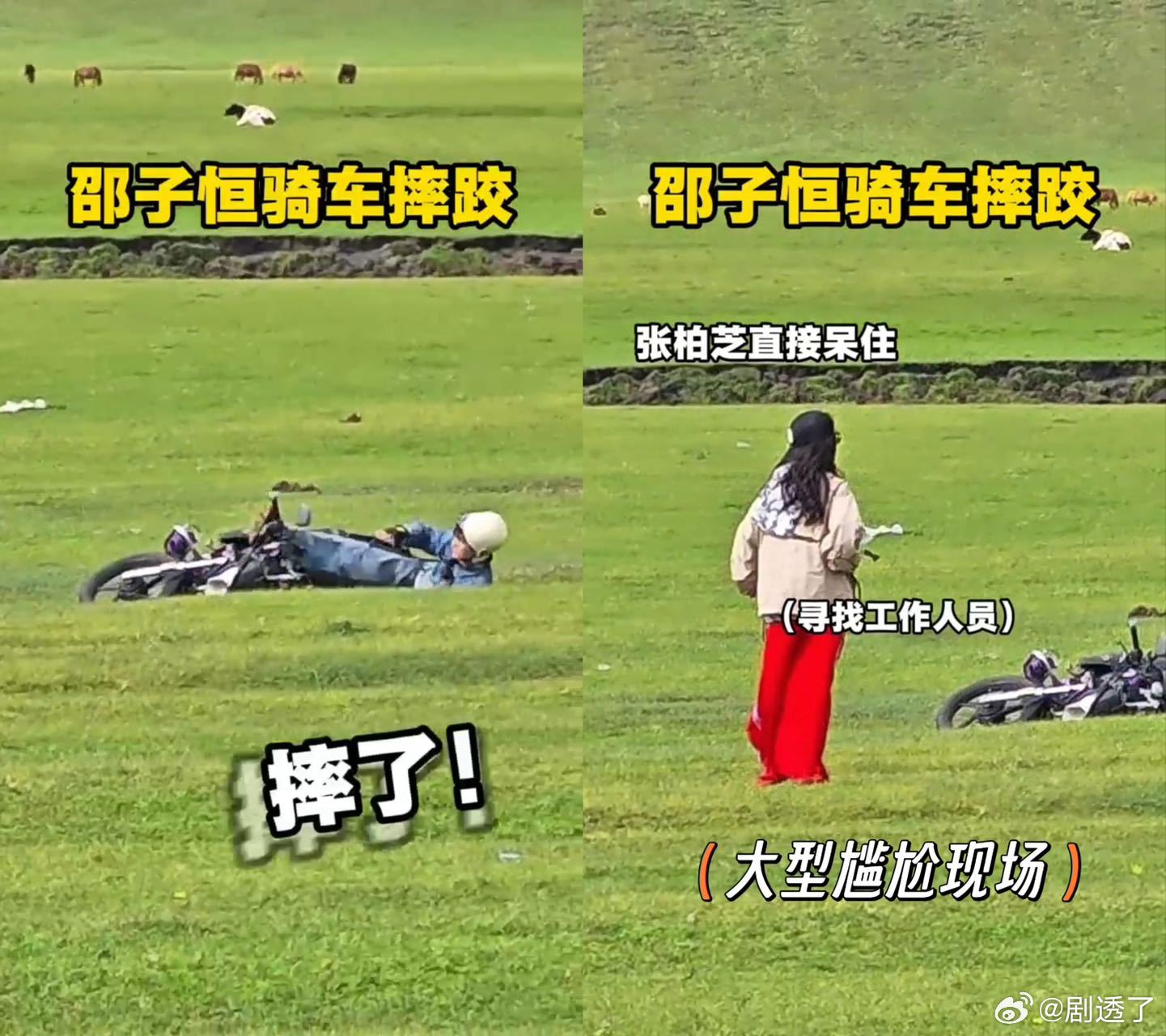 邵子恒骑车摔跤还有endingpose 草原骑行遇上小插曲？邵子恒一个利落鲤鱼打
