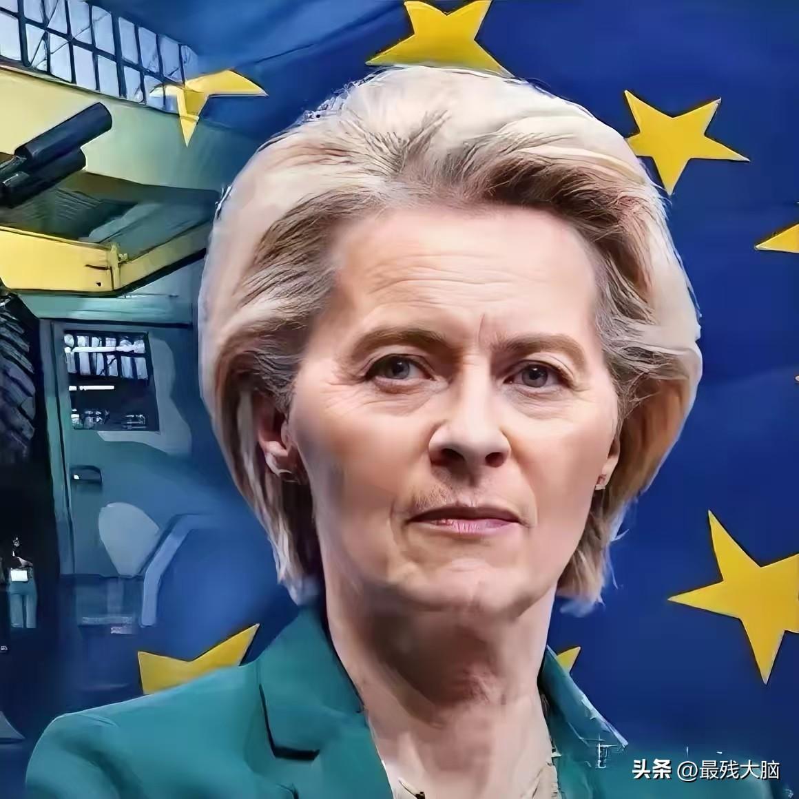 欧盟对我们的这则“禁令”一出，国内不少网友忙说“谢谢”！
欧盟宣布：禁止中国参与