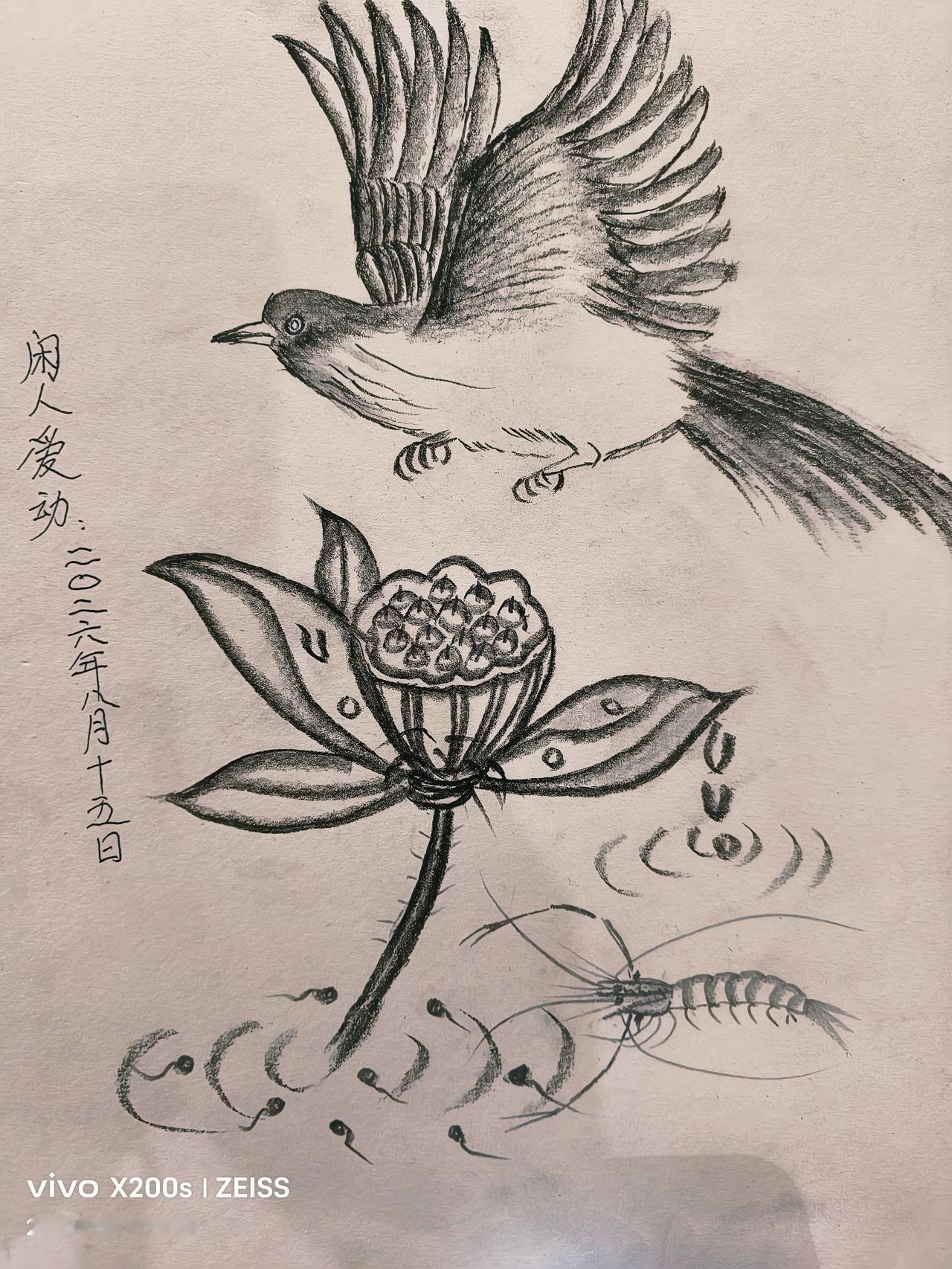 分享一张惊艳的画面！动物植物全用铅笔绘画。