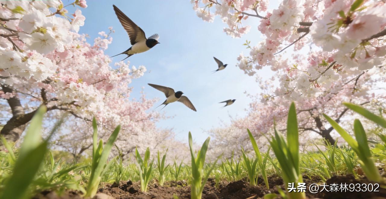春日烟火，最抚人心
春风一吹，世间万物都醒了过来。街角的柳树抽出嫩黄的芽，像被春