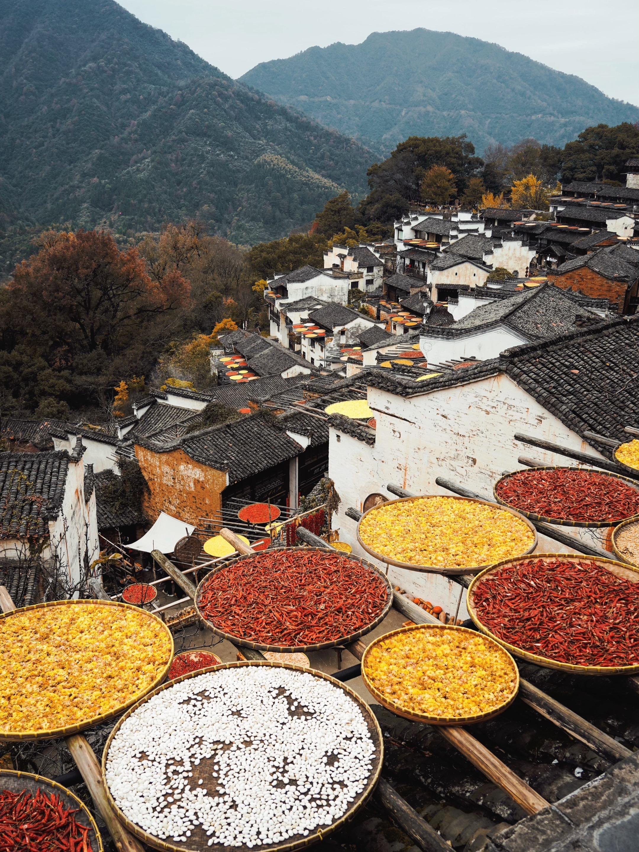 连《国家地理》都推荐的古村篁岭晒秋美翻了❗️。秋天若有十分美定有九分在...