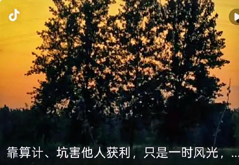 耍心机玩手段，或许能换来一时利益，却赢不来长久人心。
算计来的好处终会散尽，辜负