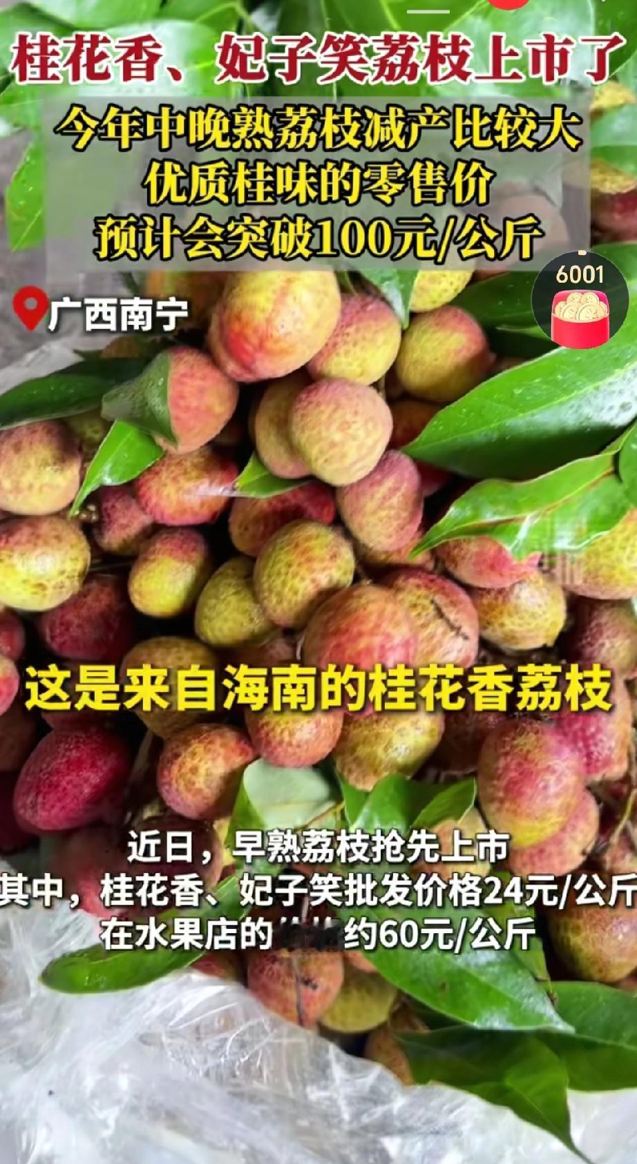 近日南宁市场荔枝桂花香、妃子笑荔枝，属于早熟品种已批量上市。
​今年中晚熟荔枝（