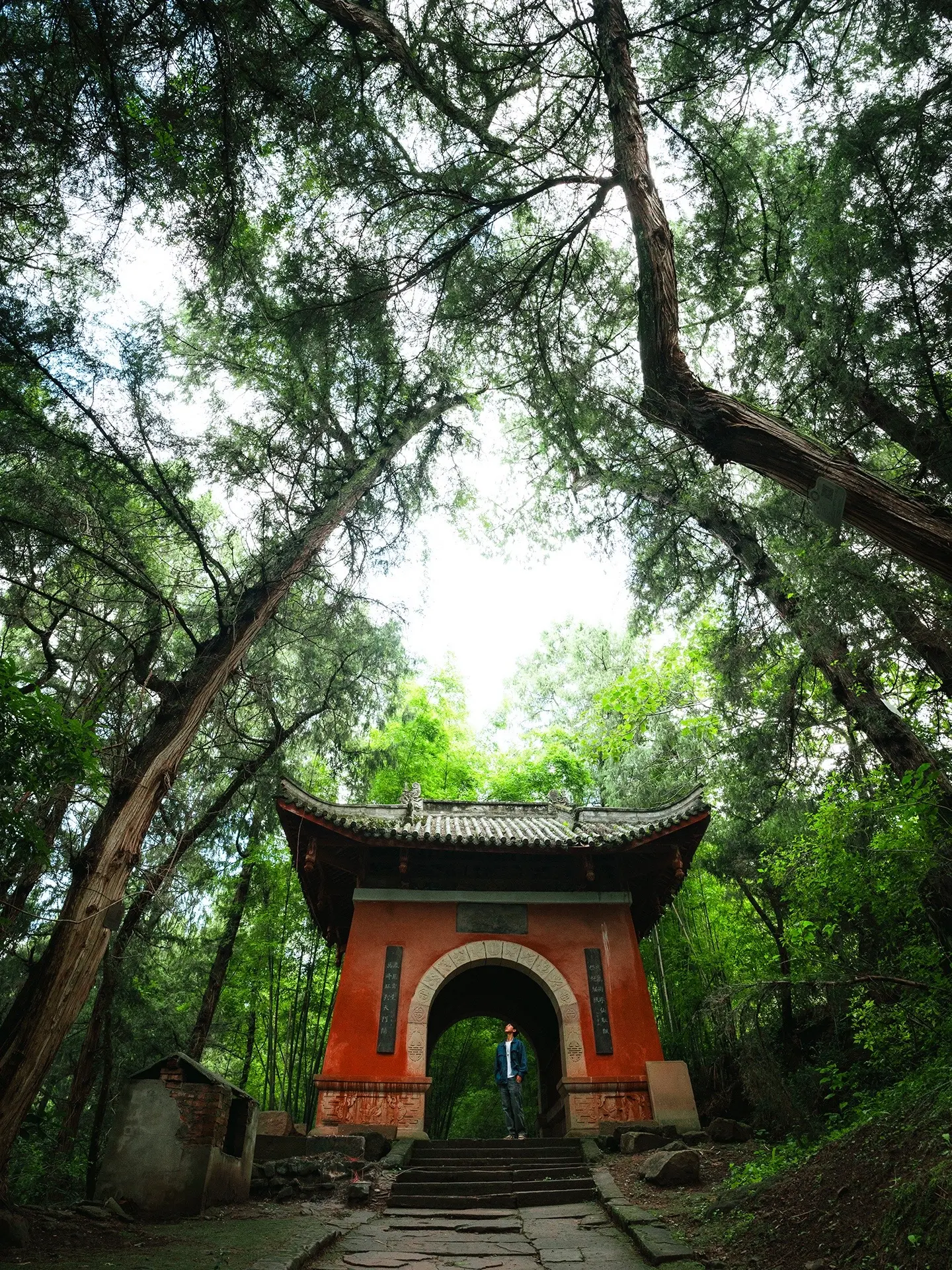 比起青城山，我更爱这个小众四川第二大道观。比起青城山，我更爱四川第二大...