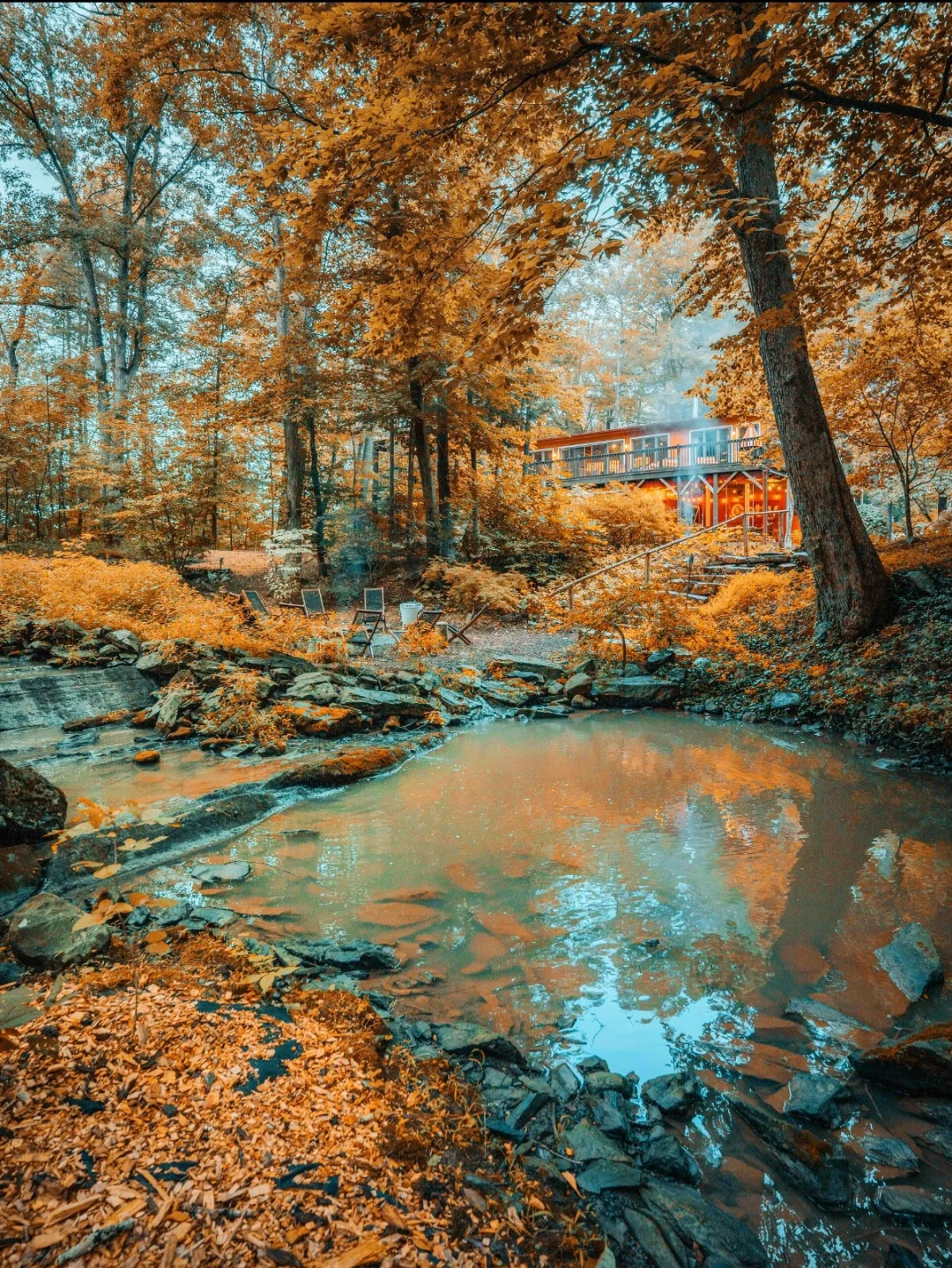 美国纽约州🌲75英亩超绝森林民宿！太心动了！