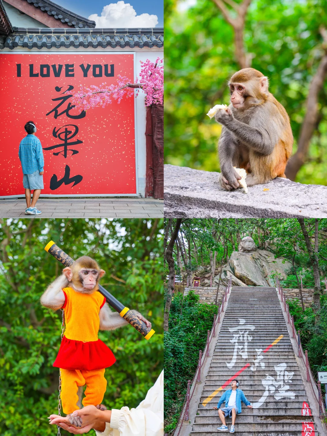 勇闯花果山！一日《西游记》全攻略+避坑指南