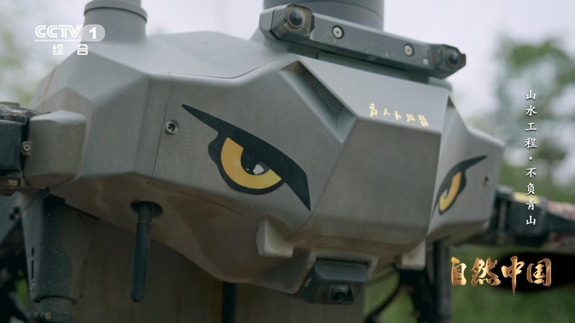 秦岭深处树在天上飞树苗坐无人机空降 秦岭地形复杂，种树面临诸多挑战。但工作人员巧