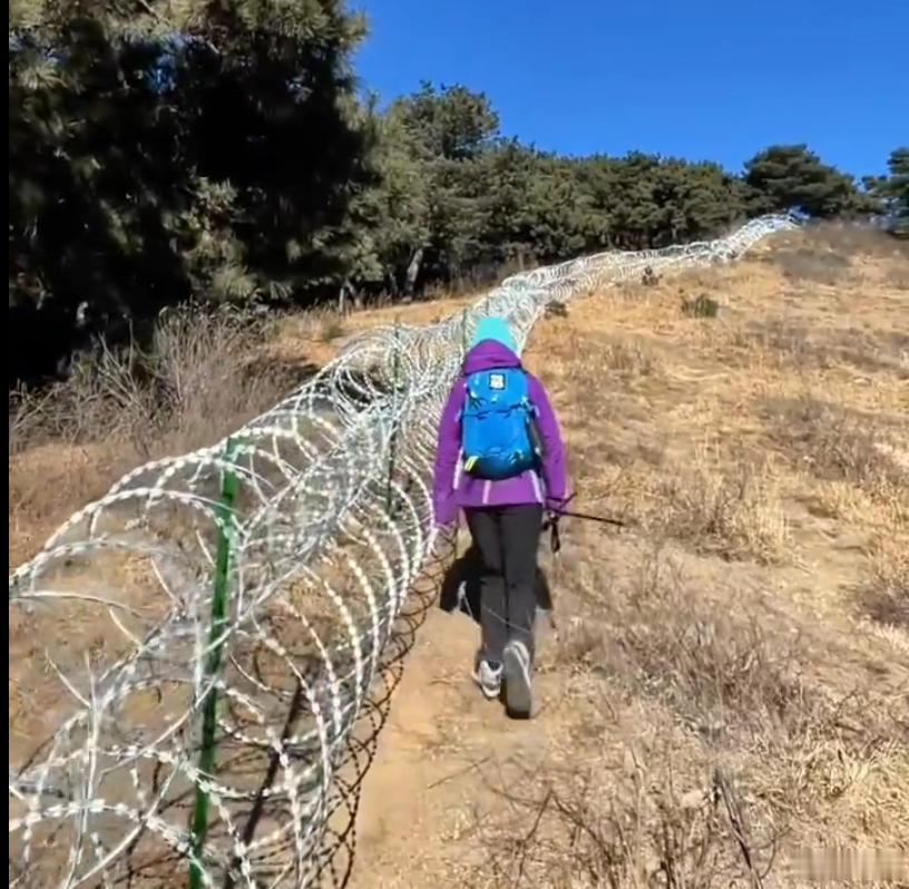 泰山拉网圈山是不是用力过猛了真是世界之大，无奇不有，泰山这么干确实是用力过猛！ 