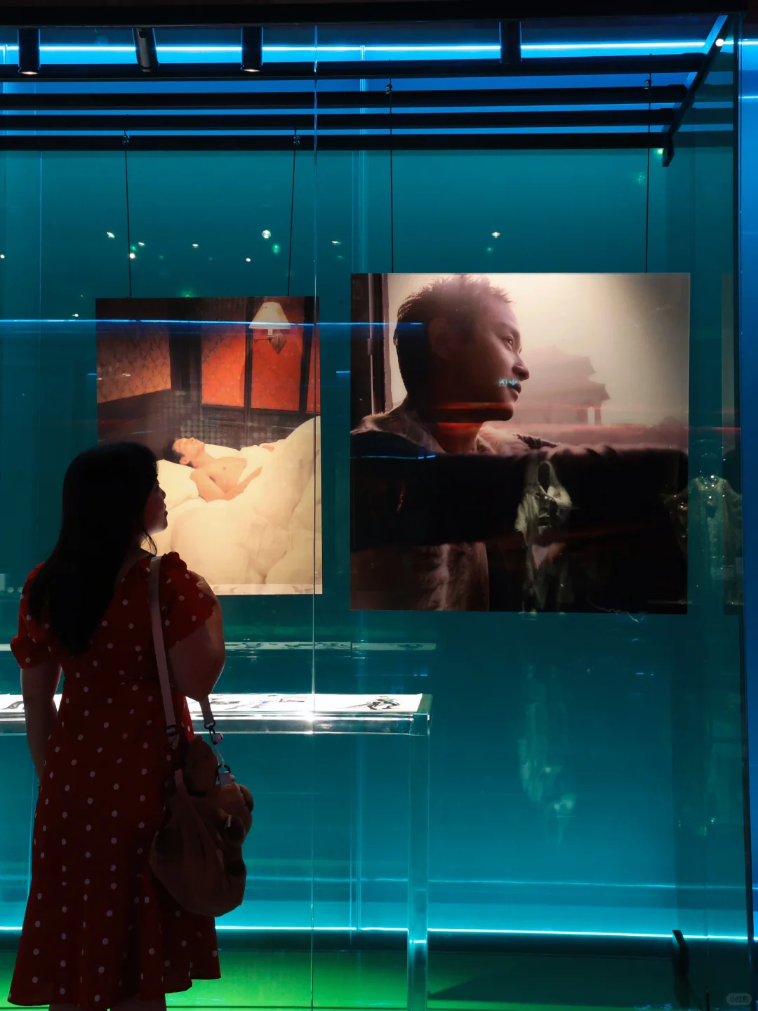 澳门免费看展｜陈淑芬与熠熠星光相知的故事