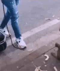 图1：不可思议吧？猴子什么时候变得这么好说话呢？它不是很暴躁的吗？
图2：想要快