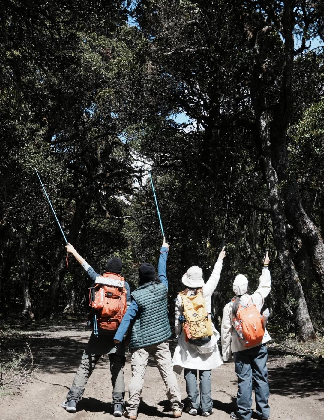 贡嘎寺徒步🚶一场偶遇麋鹿的幸运之旅
可惜我无缘偶遇☹️，被同行小伙伴浪漫偶遇了