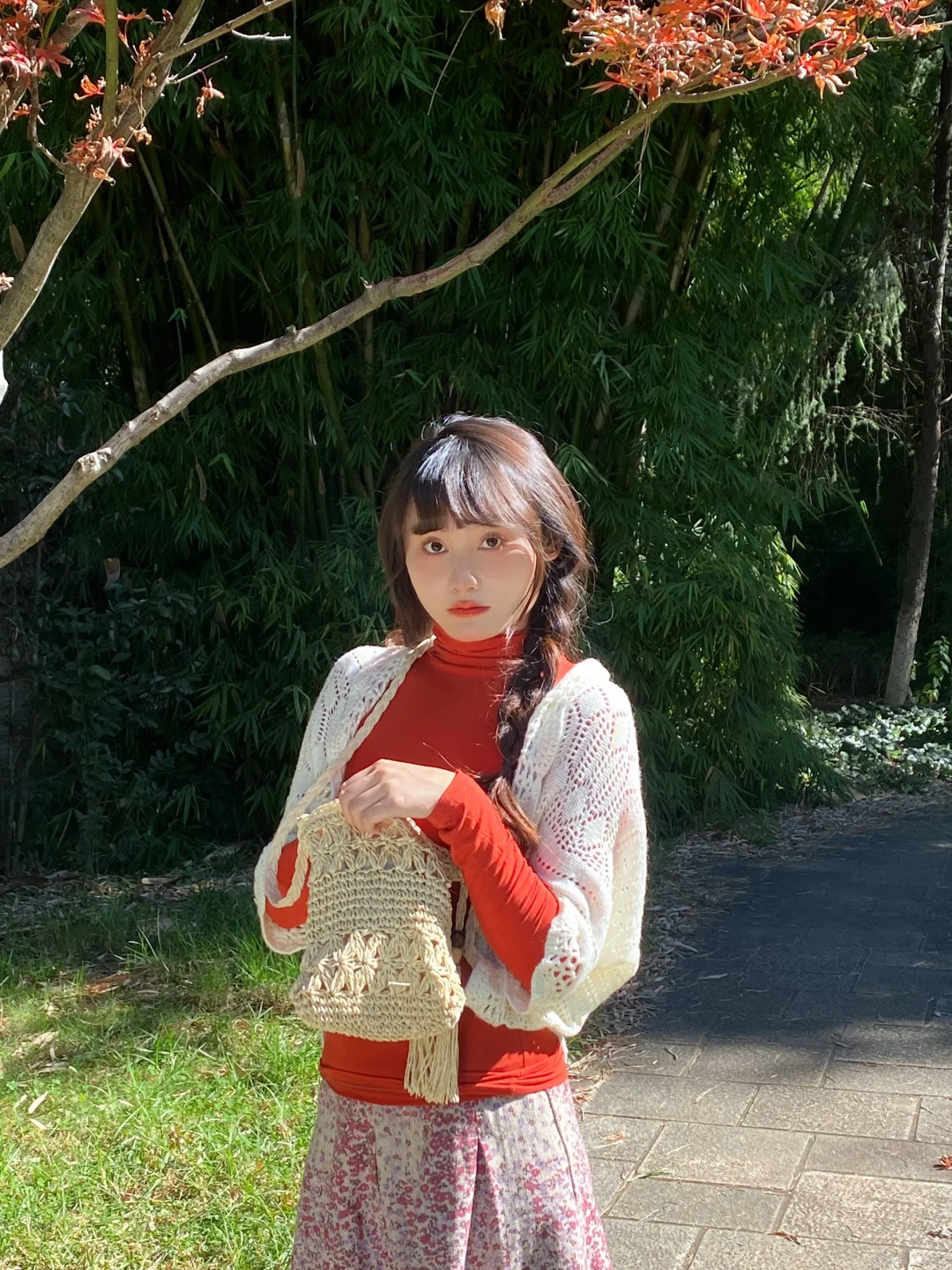 我在阳光下往返于春天🍅