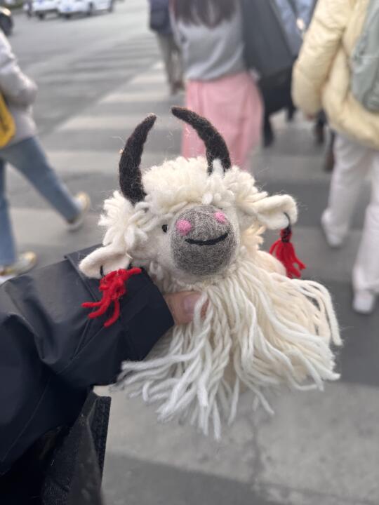 谁家的小牦牛丑萌丑萌