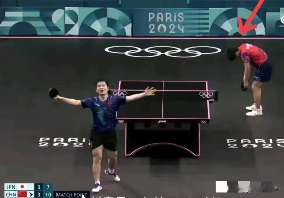 真解气！看到张本智和成了樊振东的背景板，无数国人都感到无比激动，小胖用自己的坚强