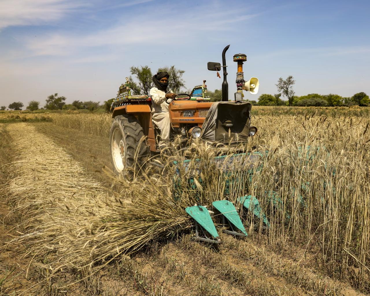 联合国称霍尔木兹环流扰动可能引发全球粮食危机

外媒报道说：“联合国项目事务厅的