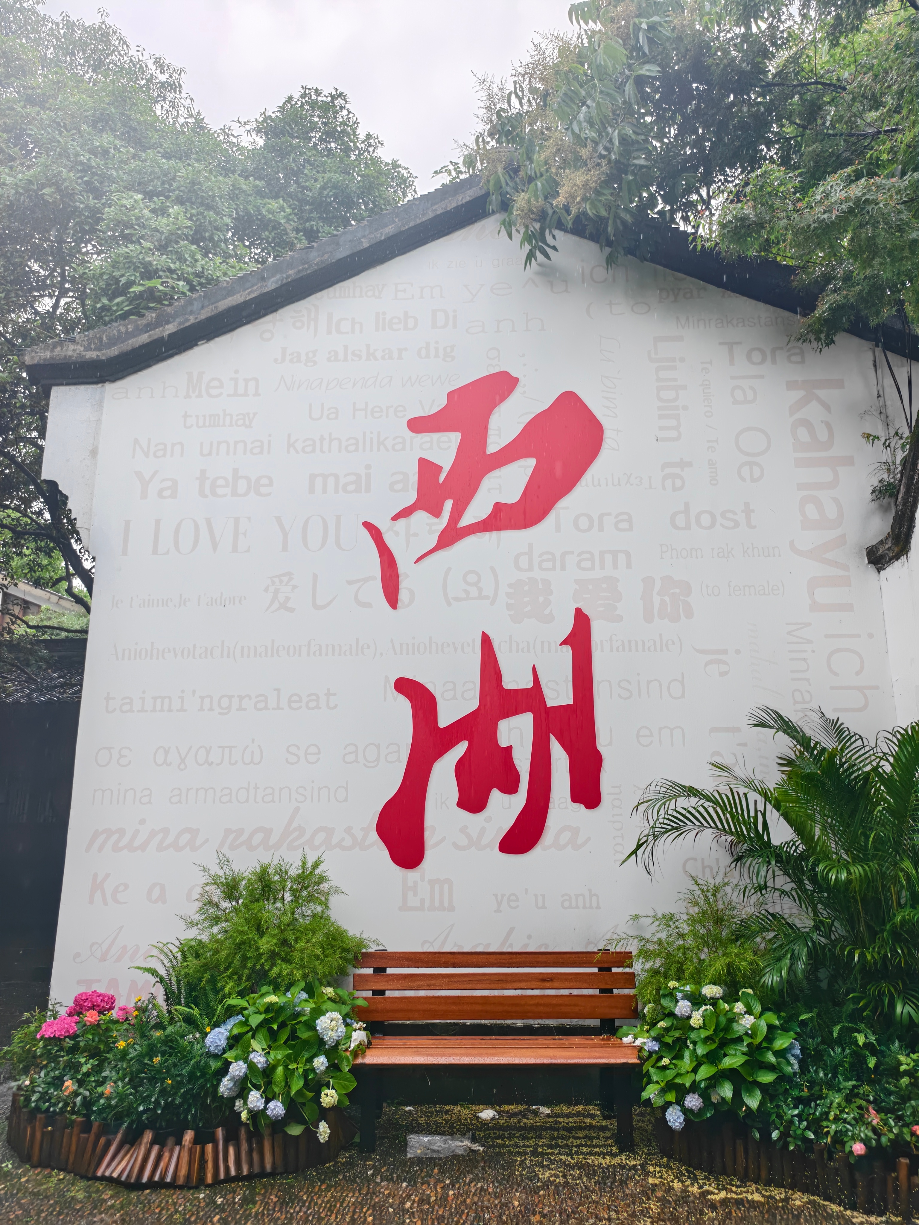 这两天大暴雨陪我外地朋友逛西湖真的力竭了