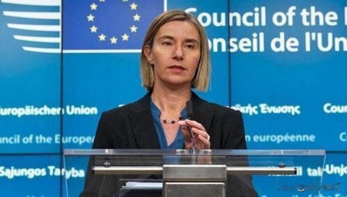 欧盟也要学习乌克兰反腐？比利时警方突袭了欧洲对外行动署总部和欧洲学院，开展大规模