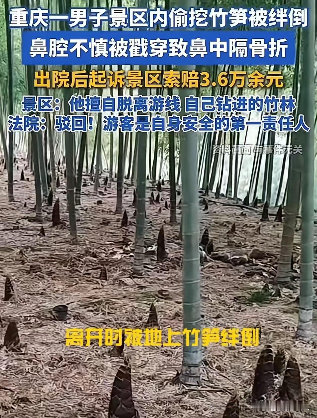 这事说出来真让人又好气又好笑！
 
重庆这名男子，放着好好的景区步道不走，偏要偷
