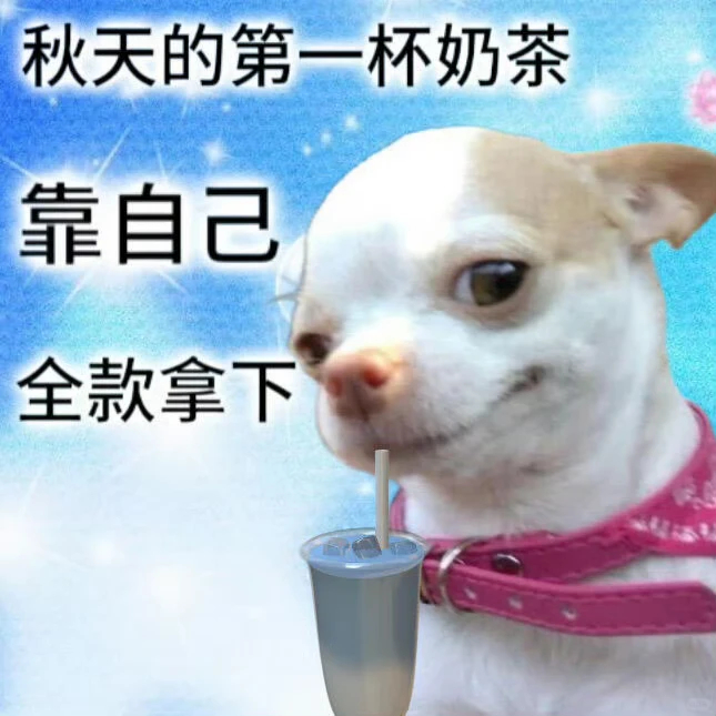 发现了一种很新的老人"最近大家的状态过于真实了：理智知道只是一杯奶茶，情绪已经开