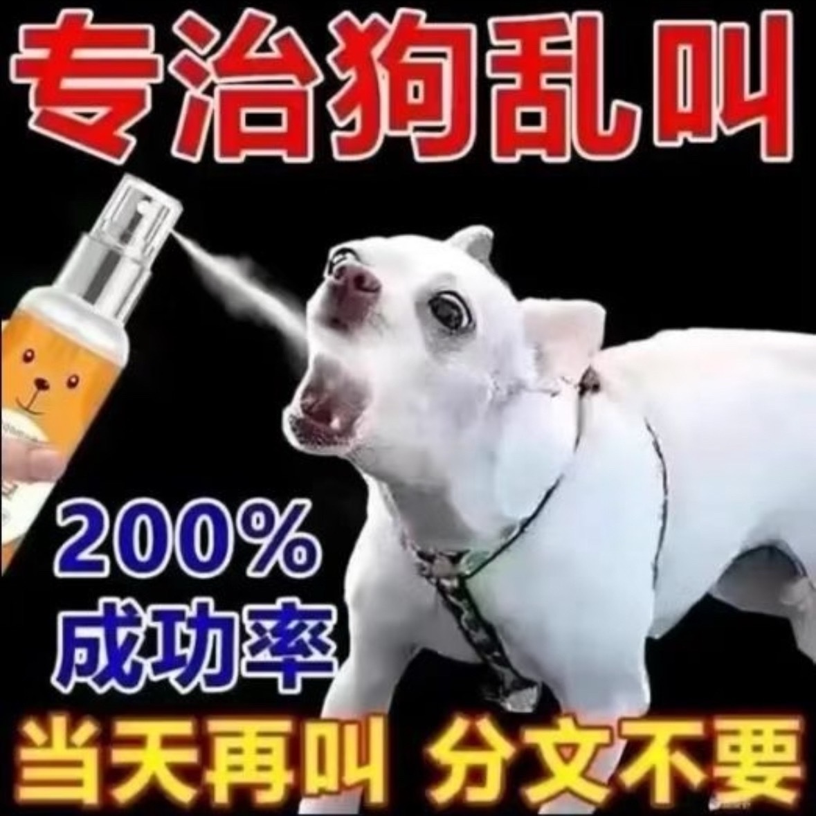 鞠婧祎