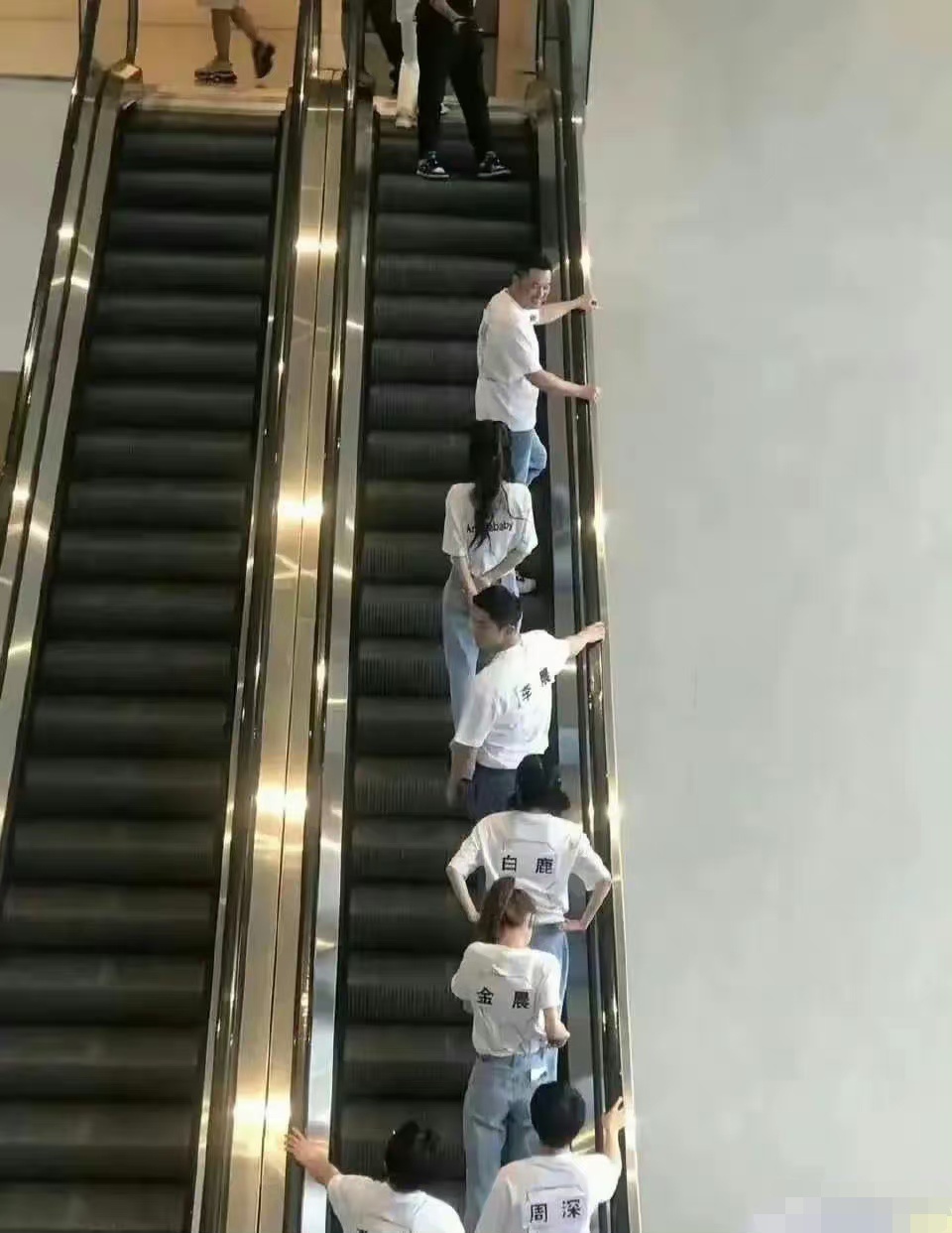 白鹿的肩宽是认真的吗？ ​​​