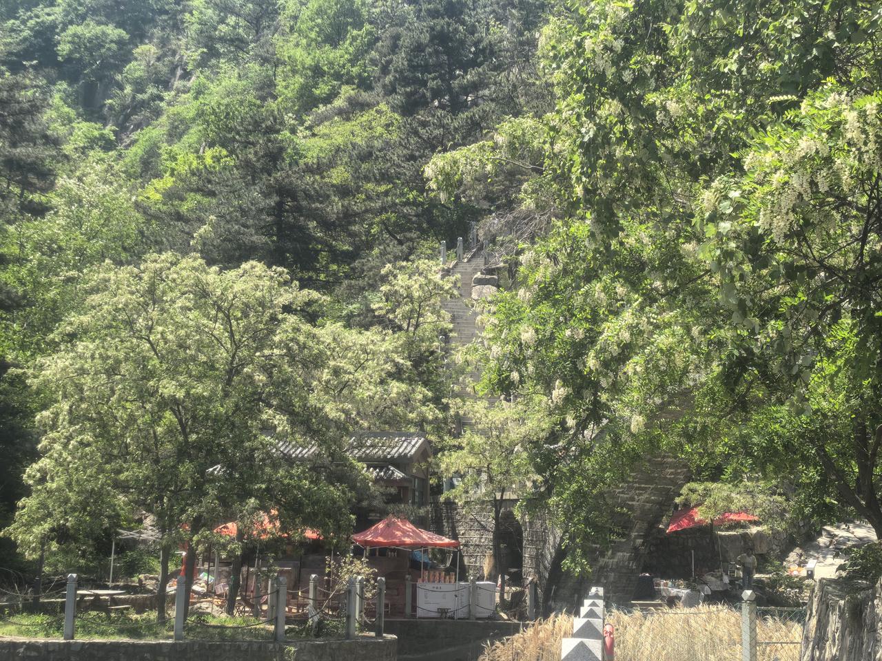 分享一张美丽的风景照片