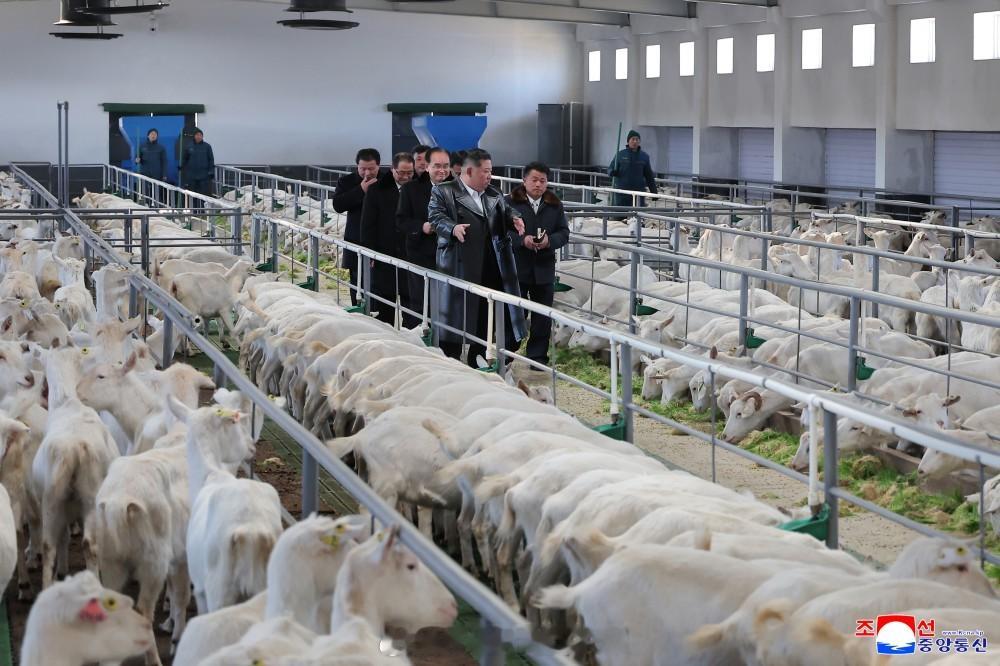 养得肥肥壮壮的 