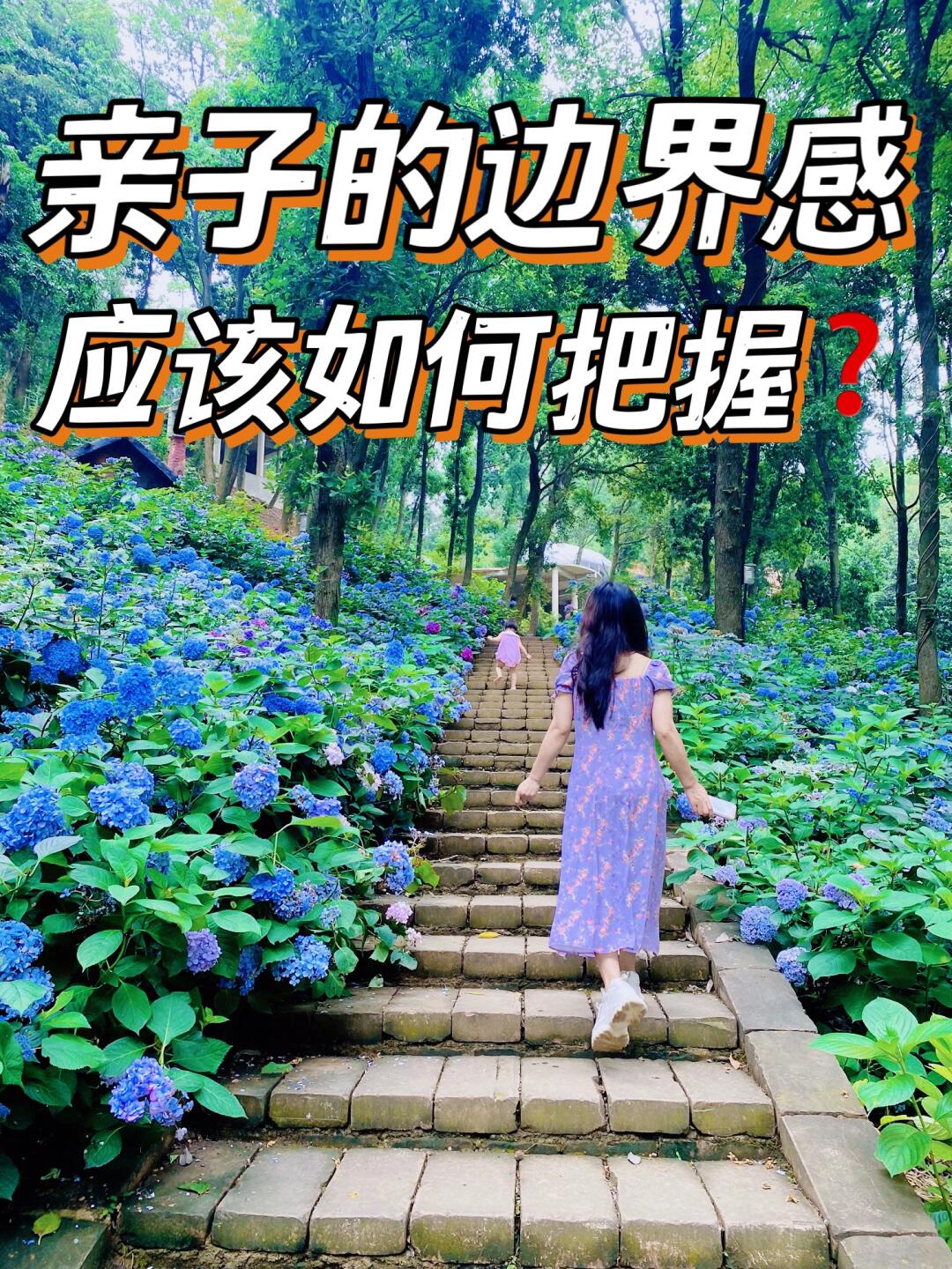 亲子的边界感，应该如何建立❓