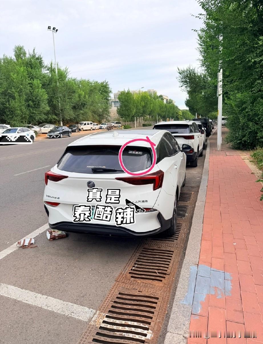 这宠妻可以不这么高调吗？路遇一车，后车窗上的字让我忍不住笑了，这得有多宠妻啊？