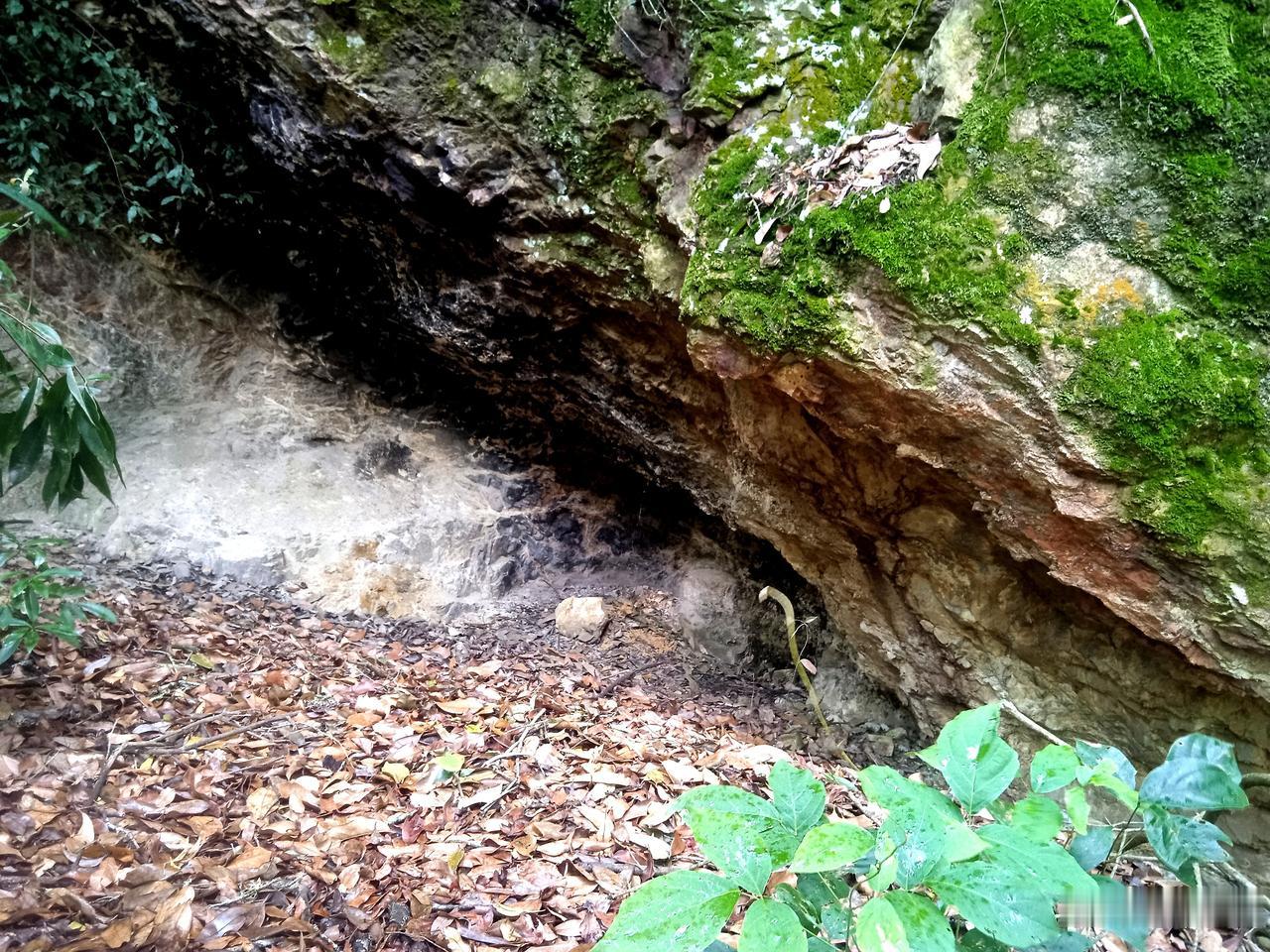 林中有石洞，不寂寞的山洞，有人烟的山洞。洞中有厚厚的落叶，黑黑的火炭，洞顶石壁，